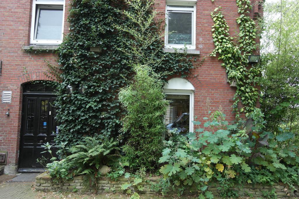Art, Bed & Breakfast Velden Luaran gambar